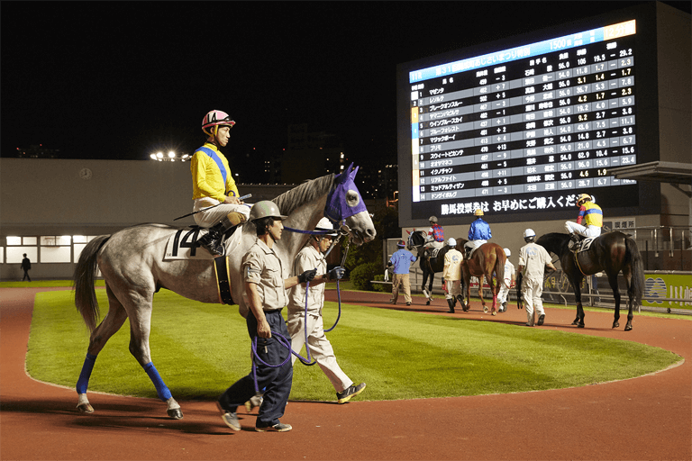 競馬のキホン 川崎競馬 Kawasaki Keiba