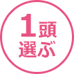 1頭選ぶ