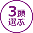 3頭選ぶ