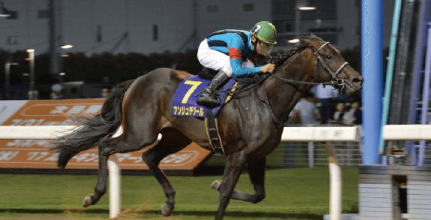How to Enjoy Horse Racing