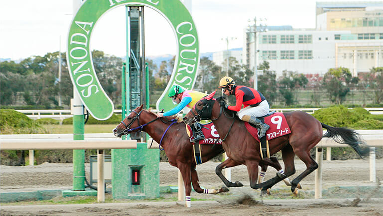 STEP RACE 5 兵庫ジュニアグランプリ レースガイド