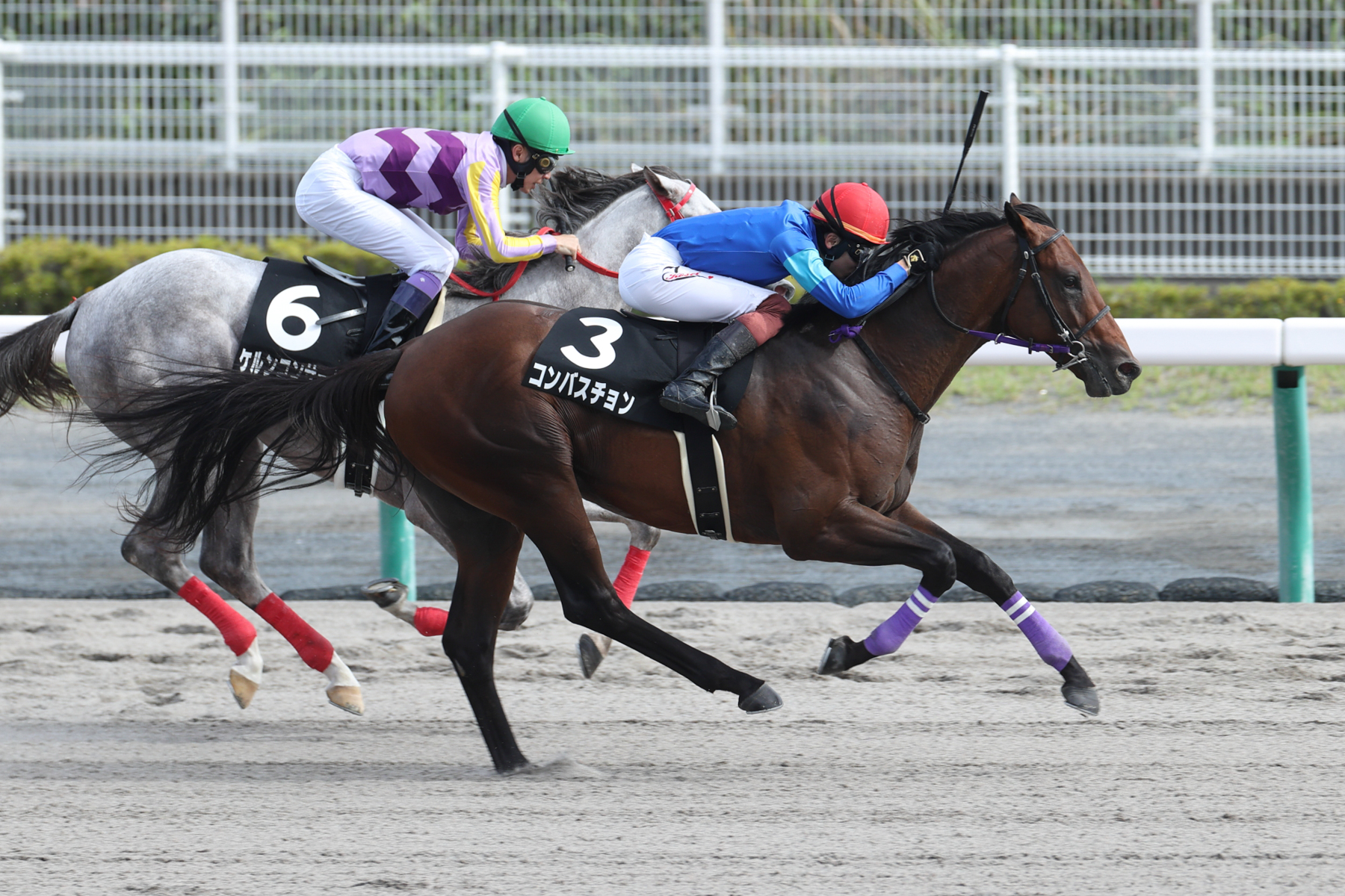 第72回 全日本2歳優駿（JpnI） | 川崎競馬 KAWASAKI KEIBA