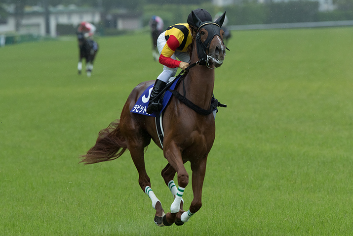 ラビットラン