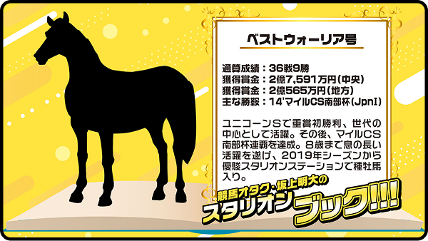 【第13回】ベストウォーリア